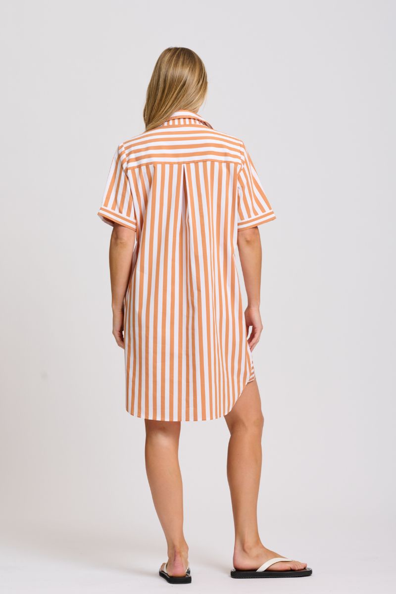 Clara Dress - Burnt Orange Stripe