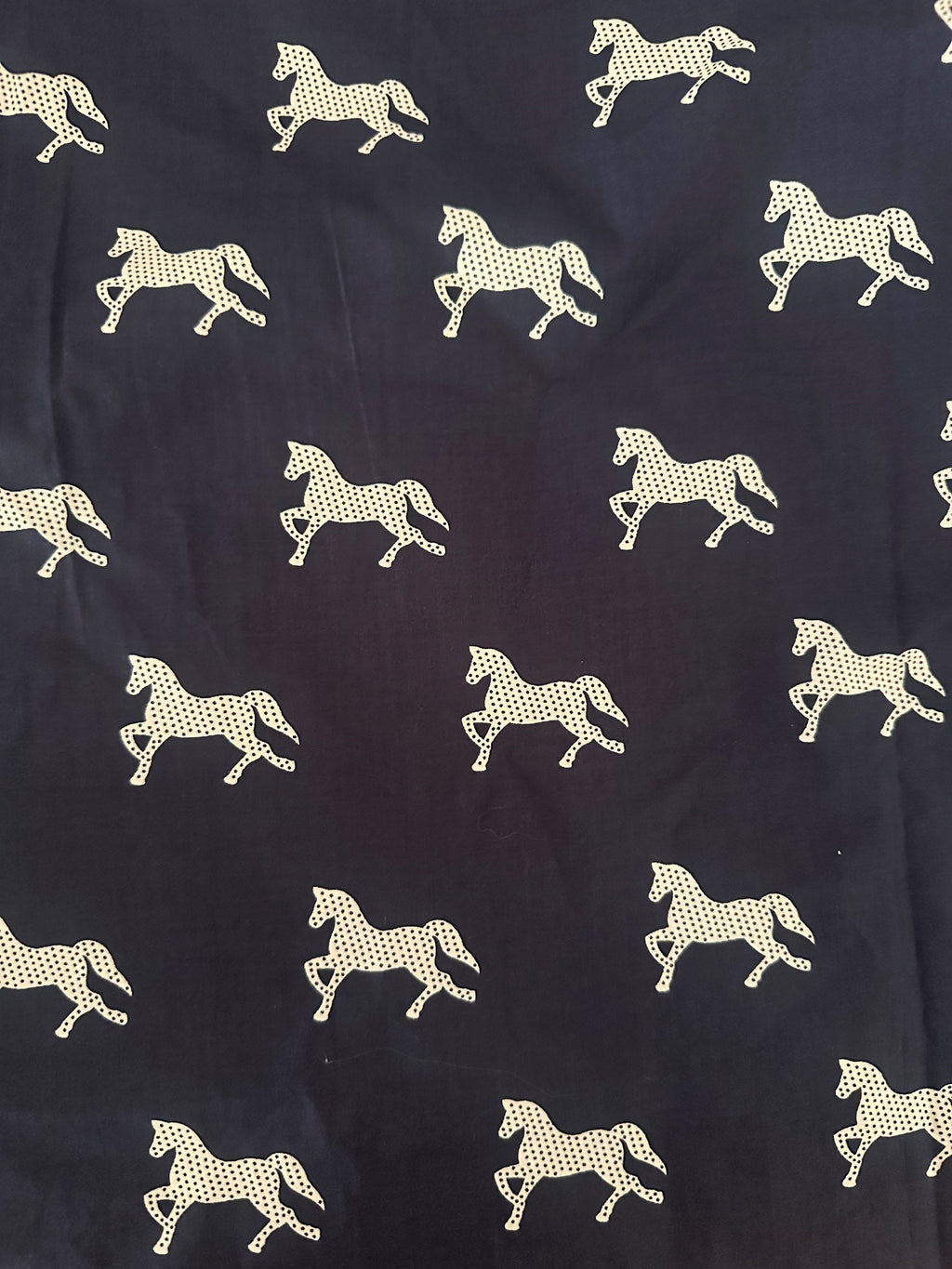 Claire Popover Shirt Dress - Navy With White Pony